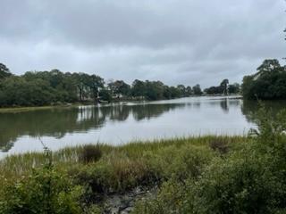 Beautiful Potential Land for Conservation