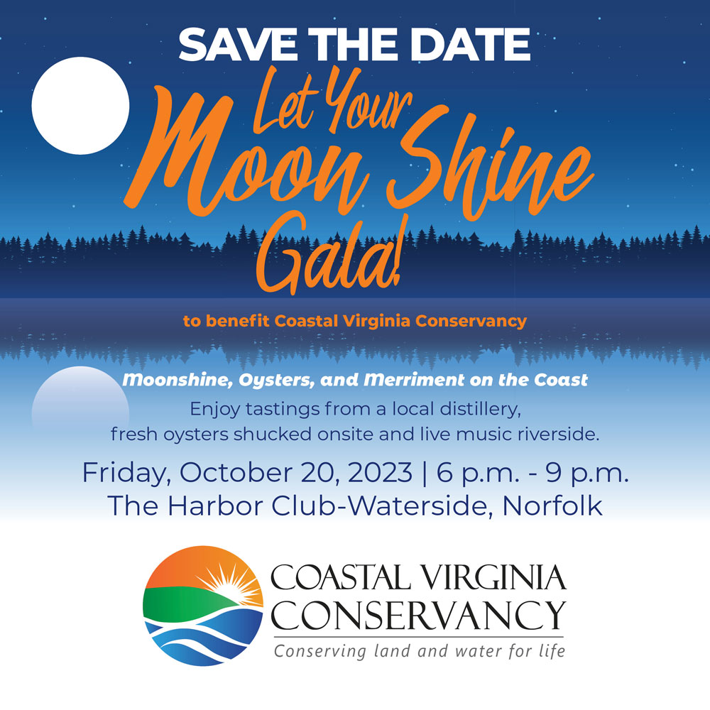 Let Your Moon Shine Gala | Friday, October 20, 2023 6pm to 9pm - The Harbor Club, Waterside, Norfolk.