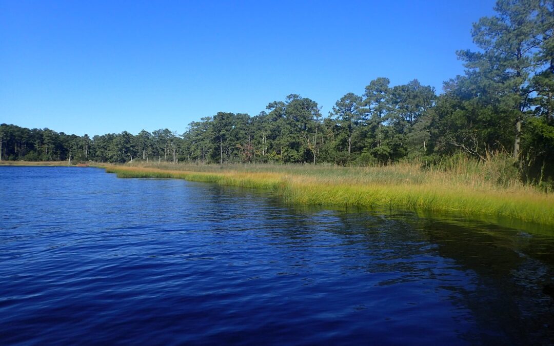 Environmental groups slam federal plan to ship wetlands mitigation out of Hampton Roads