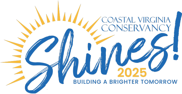 CVC Shines 2025