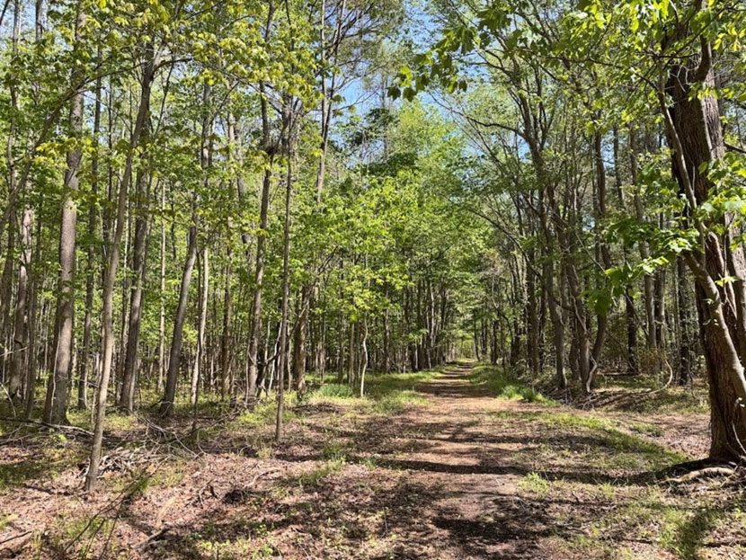 25 Acres Protected in Virginia Beach