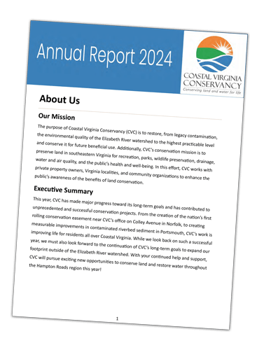 CVC 2024 Annual Report